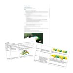 Учебная программа Lego WeDo 2.0 (2 часть), робототехника