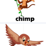 Карточки к учебнику “Spotlight 2” Module 3. (Flashcards)