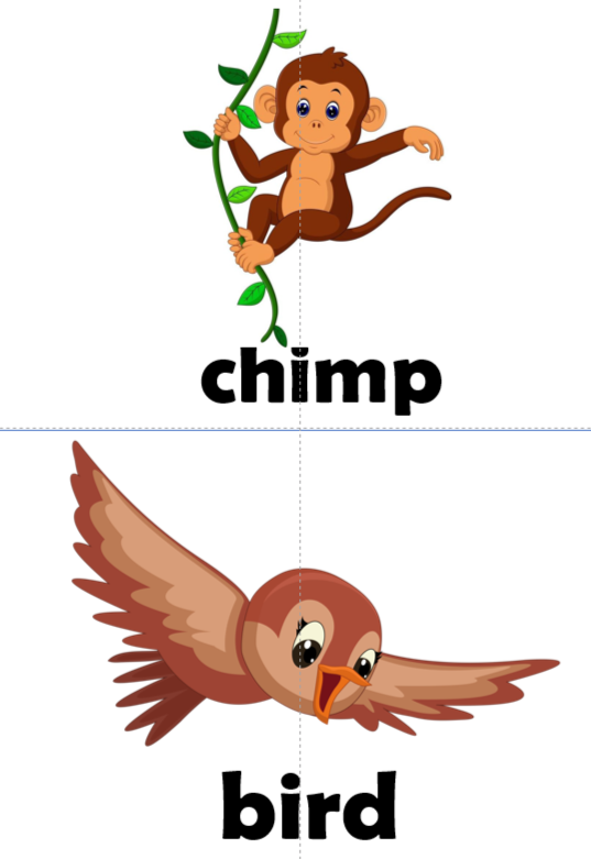 Карточки к учебнику “Spotlight 2” Module 3. (Flashcards)