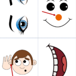 Карточки к учебнику “Spotlight 2” Module 4. (Flashcards)