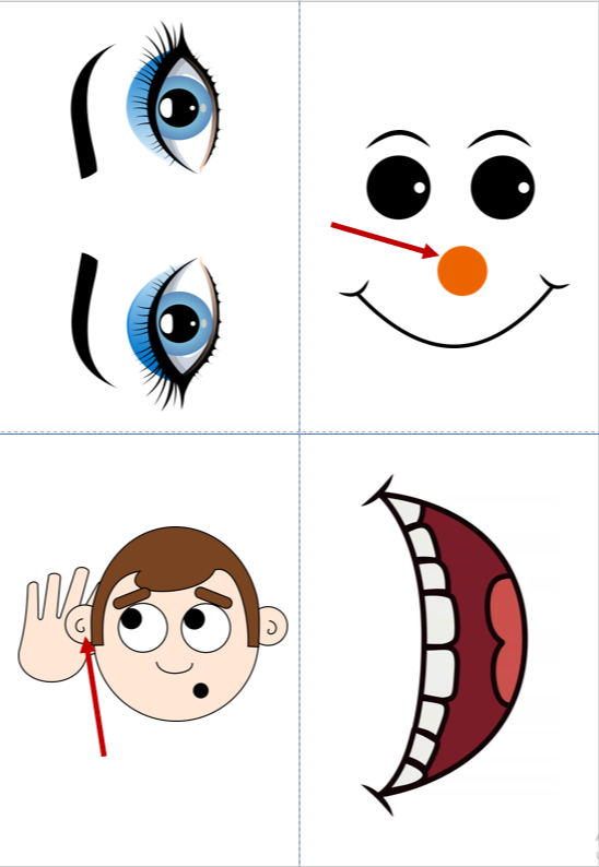 Карточки к учебнику “Spotlight 2” Module 4. (Flashcards)