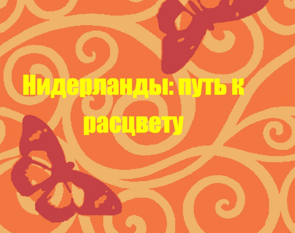 Презентация к уроку истории на тему “Нидерланды: путь к расцвету”
