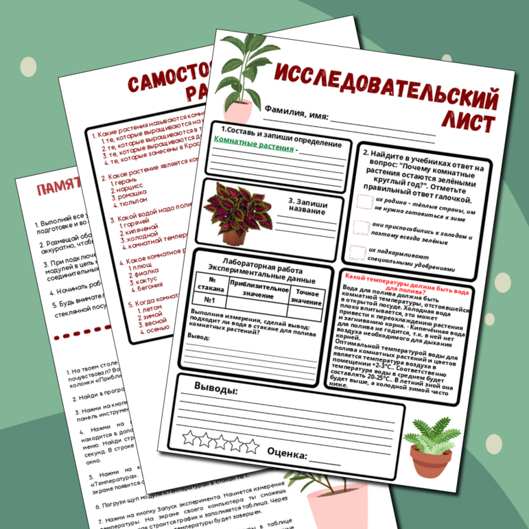 Исследовательский лист “Комнатные растения”