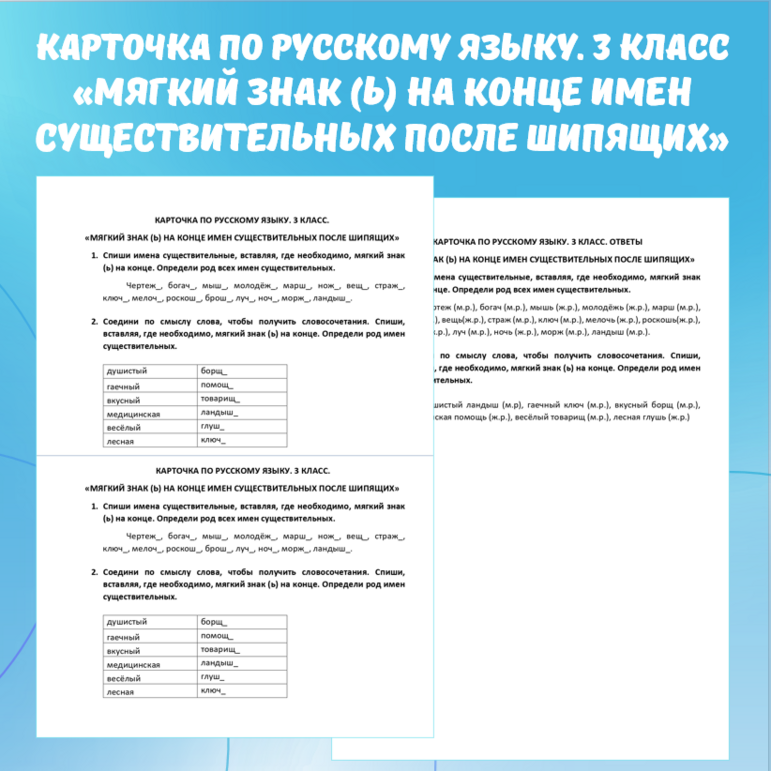 Карточка по русскому языку «Мягкий знак (ь) на конце имен существительных после шипящих». 3 класс.