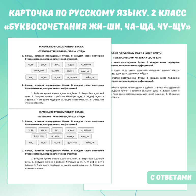 Карточка по русскому языку «Буквосочетания ЖИ-ШИ, ЧА-ЩА, ЧУ-ЩУ». 2 класс.