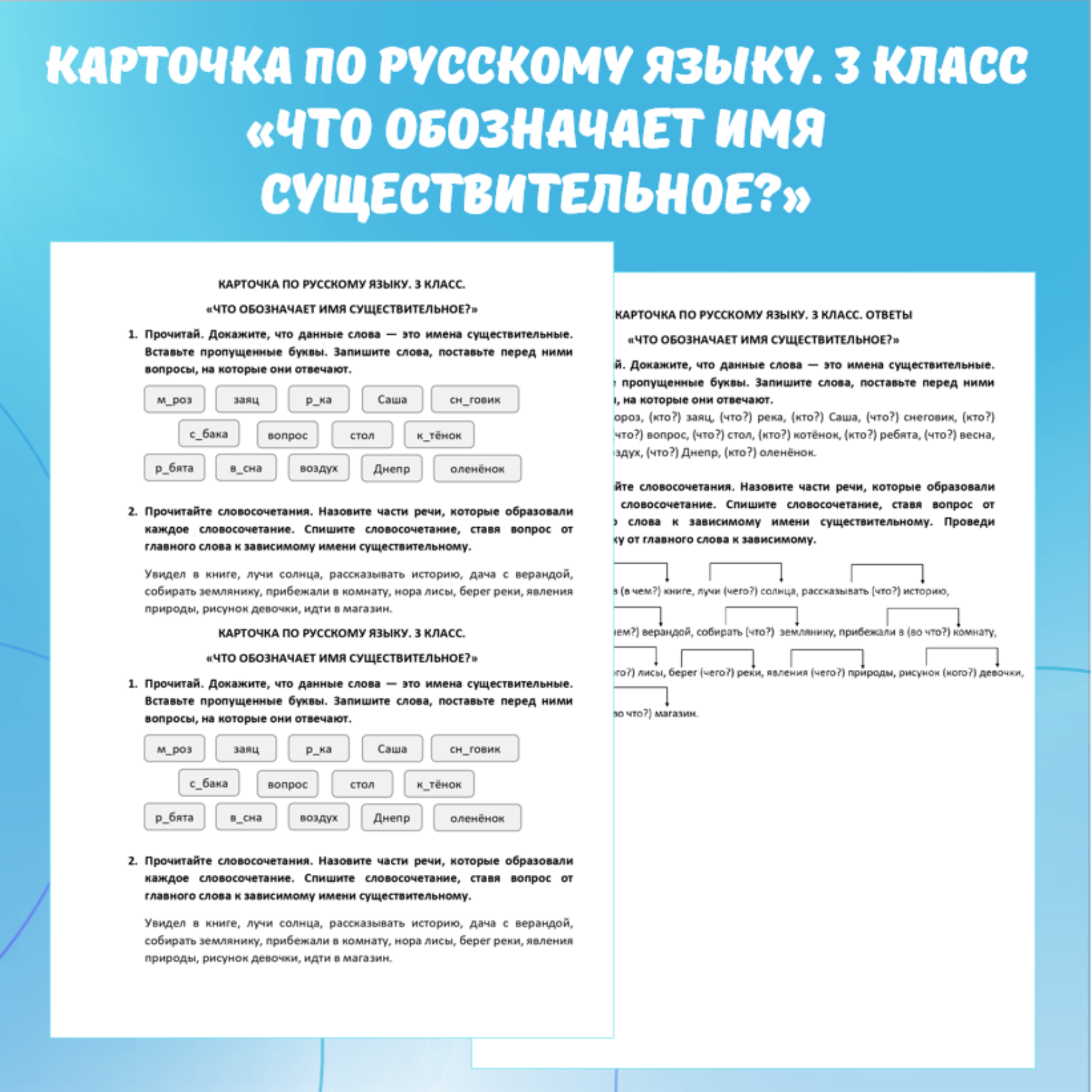 Карточка по русскому языку «Что обозначает имя существительное?». 3 класс.