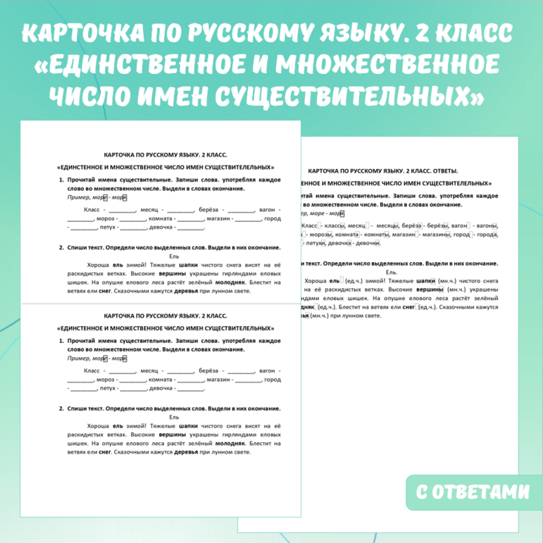 Карточка по русскому языку «Единственное и множественное число имен существительных». 2 класс.