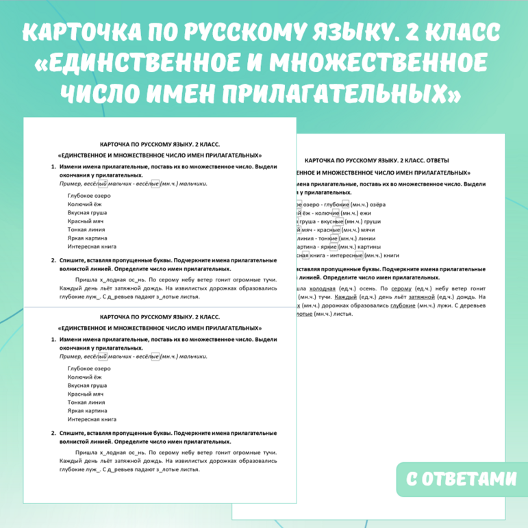 Карточка по русскому языку «Единственное и множественное число прилагательных». 2 класс.