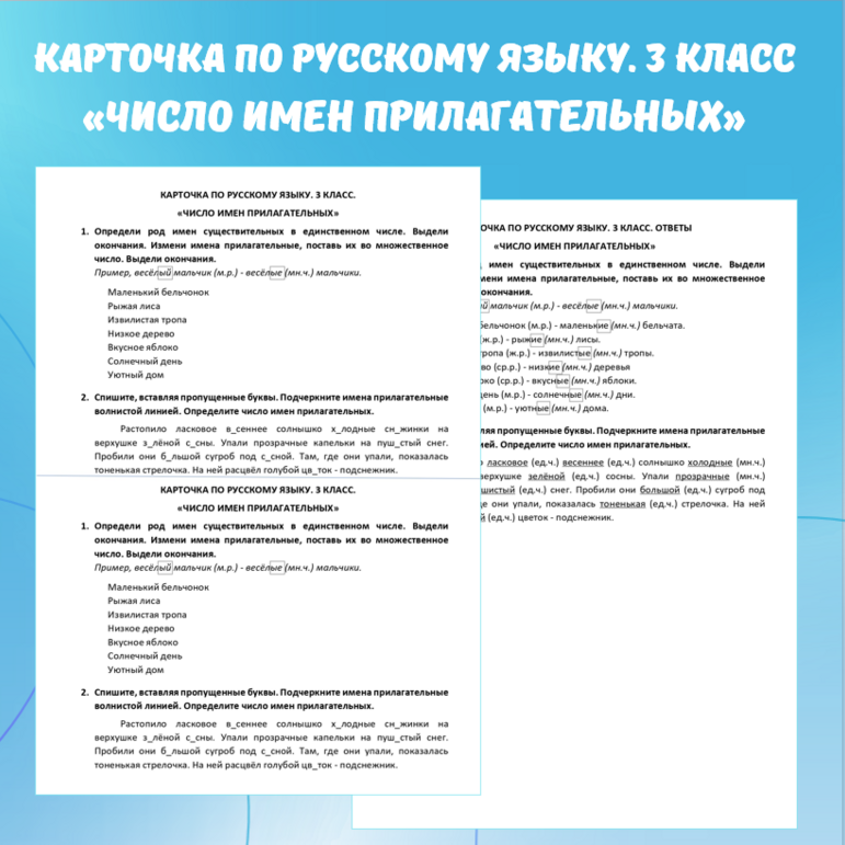 Карточка по русскому языку “Число имен прилагательных”. 3 класс.