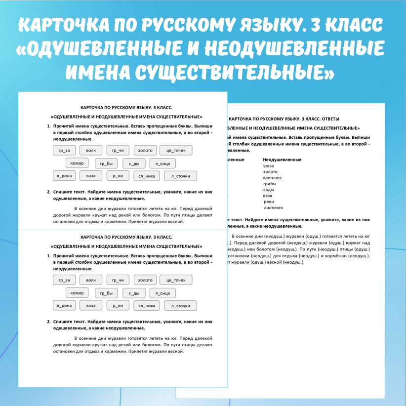 Карточка по русскому языку «Одушевленные и неодушевленные имена существительные». 3 класс.
