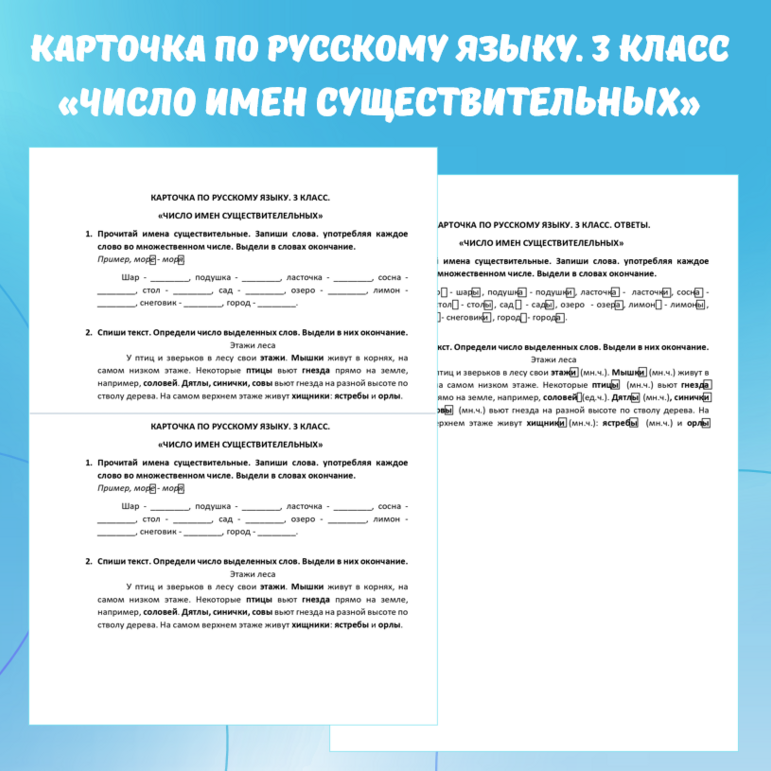 Карточка по русскому языку «Число имен существительных». 3 класс.