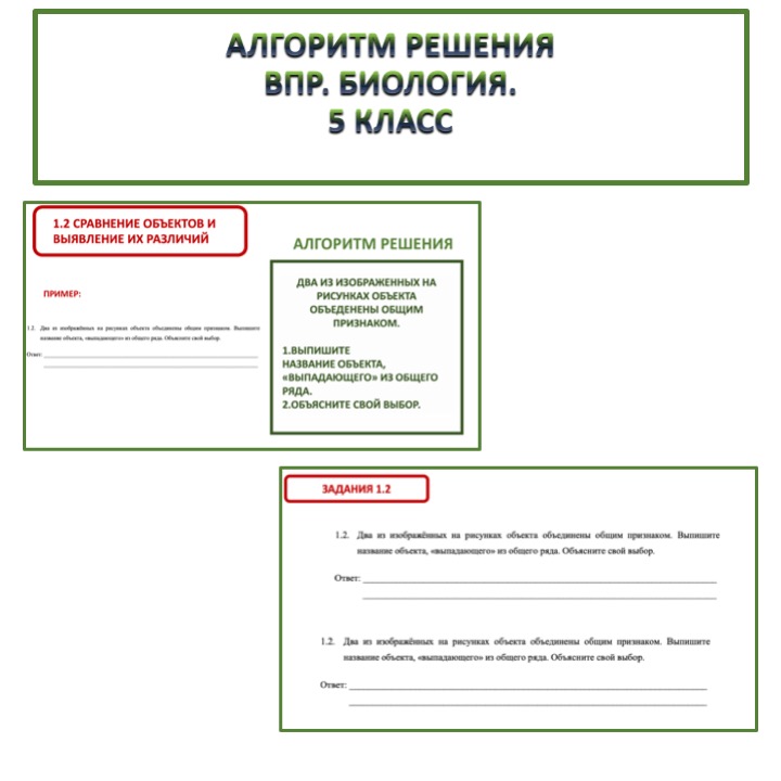 Презентация на тему «Разбор выполнения заданий ВПР по биологии». Биология, 5 класс.
